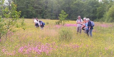 The Upper Tawe Valley - a Living Landscape